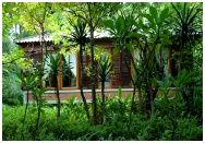 Mom Chailai Forest Retreat Resort : Ҹҵ  