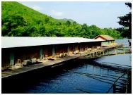 The Hub Erawan Resort : Ѻ ѳ  ҭ
