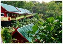 Songkhalia River Hut Resort : ͧ ѷ  ҭ