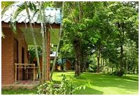 Suan Ingthan Resort Kaengkrachan : ǹԧ  觡Шҹ