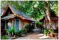 ѹ ʹ  Թ : Veranda Lodge Resort HuaHin
