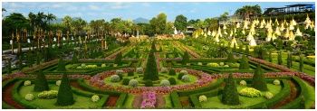 NongNooch Pattaya Garden&Resort : ǹت  ѷ