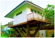 Chomkluen Resort Rayong :  ͧ