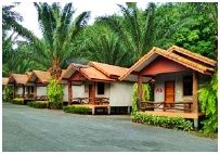 Palm Suay Resort Trat :   Ҵ