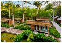 Jungle KohKood Resort : ѧ Сٴ 