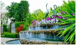 The Bloom Orchid Park : к Դ  Ҫ