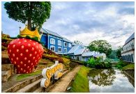Strawberry Town Rayong : ʵ ǹ ͧ