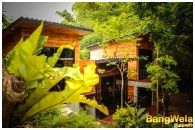 BangWela Resort Suanphueng : ҧ  ǹ