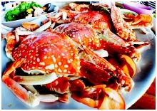 KhunAew Seafood Restaurant : ҹäǤس Ҵҭ