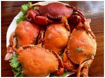 RimTalay Seafood Restaurant : ҹ տ Ҵ