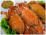 Phu Talay Seafood Restaurant : ҹٷ տ Ъҧ