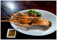 Chonthicha Seafood Restaurant : ҹêŸԪ տ Сٴ