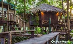   ѹ : Oh Tree Resort Chanthaburi