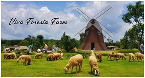 Viva Foresta Farm Chanthaburi :  ʵ  ѹ